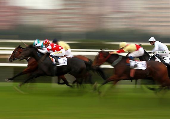 中山競馬 2024-09-08 13:11 第7レース データ分析予想. 日本競馬！データ分析で勝利へ！