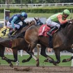 大井競馬 2024-08-15 17:26 第7レース データ分析予想. 日本競馬！データ分析で勝利へ！