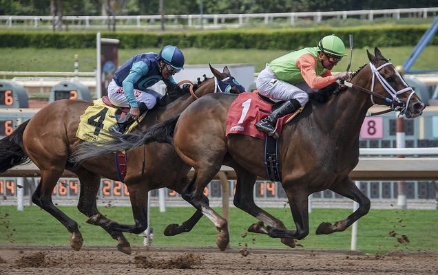 川崎競馬 2024-08-09 20:31 第12レース データ分析予想. 日本競馬！データ分析で予想 – 勝利への戦略を手に入れろ！