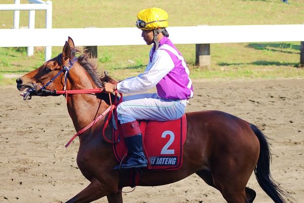 大井競馬 2024-09-13 18:36 第8レース データ分析予想. 日本競馬！データ分析で予想！あなたも的中馬券ゲット！