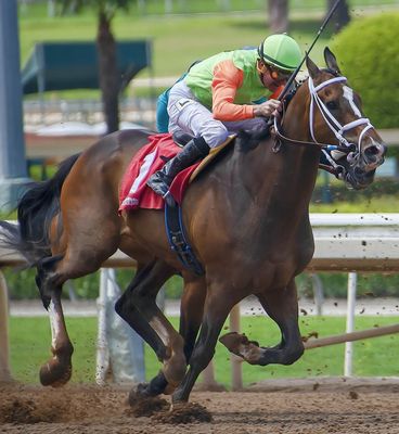 大井競馬 2024-09-09 15:06 第1レース データ分析予想. 日本競馬！データ分析で勝利へ！