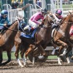 盛岡競馬 2024-08-19 17:51 第12レース データ分析予想. 日本競馬！データ分析で予想！勝ち馬への道筋を明らかに！