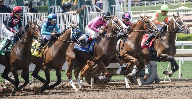 香港賽馬會2024-06-23日沙田, 第6场 預測 & Prediction|HKJC|2024-06-23|ST|6|18:30