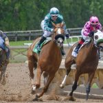 笠松競馬 2024-08-28 16:36 第12レース データ分析予想. 日本競馬！データ分析で予想！勝ち馬への道筋を明らかに！