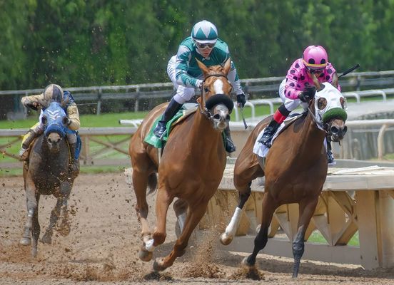 園田競馬 2024-09-11 15:51 第11レース データ分析予想. 日本競馬！データ分析で予想！勝ち馬への道筋を明らかに！