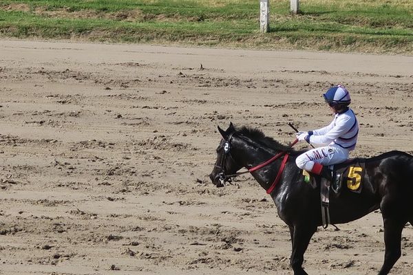 笠松競馬 2024-09-12 11:36 第3レース データ分析予想. 日本競馬！勝利への秘訣を掴む！