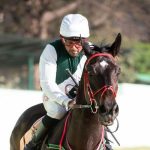 園田競馬 2024-09-25 13:56 第8レース データ分析予想. 日本競馬！データ分析で予想！勝ち馬への道筋を明らかに！