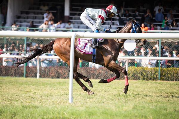 川崎競馬 2024-08-06日16:30 第4レース データ分析予想. 日本競馬！勝つための秘策！