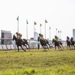 門別競馬 2024-10-29 18:36 第9レース データ分析予想. 日本競馬！データ分析で予想！あなたも的中馬券ゲット！