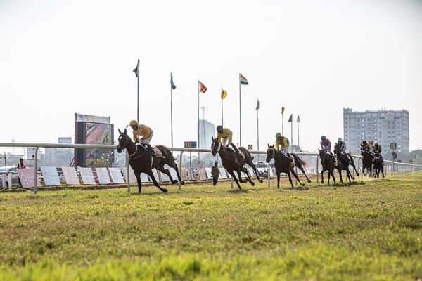 園田競馬 2024-08-09 19:36 第11レース データ分析予想. 日本競馬！勝つための秘策！