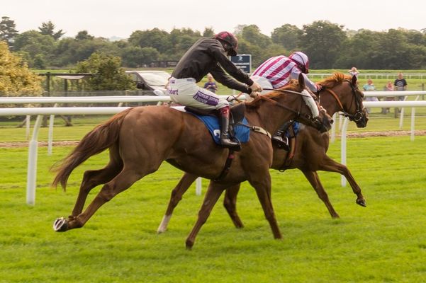 園田競馬 2024-09-12 10:21 第1レース データ分析予想. 日本競馬！データ分析で予想！あなたも的中馬券ゲット！