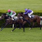 高知競馬 2024-09-29 14:36 第1レース データ分析予想. 日本競馬！勝利への秘訣を掴む！