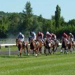 高知競馬 2024-10-19 17:56 第7レース データ分析予想. 日本競馬！勝つための秘策！