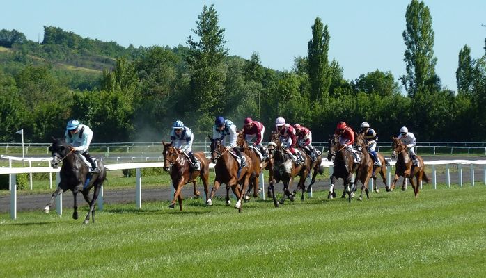 中京競馬 2024-09-15 12:56 第7レース データ分析予想. 日本競馬！予想！データに基づいた的中率の高い戦略を公開！