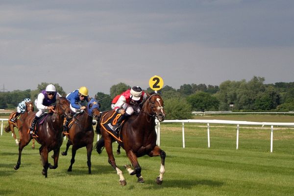 門別競馬 2024-09-04 20:21 第12レース データ分析予想. 日本競馬！データ分析で予想！あなたも的中馬券ゲット！