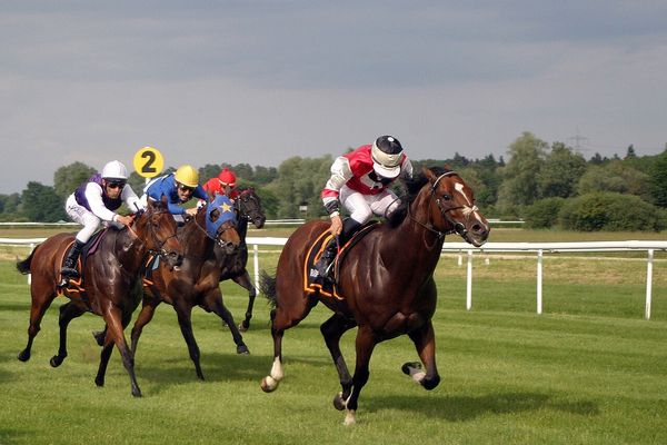 笠松競馬 2024-08-16 13:46 第5レース データ分析予想. 日本競馬！勝つための秘策！