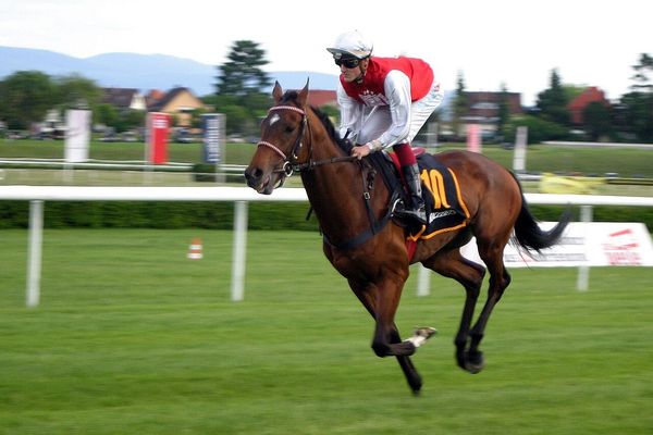 札幌競馬 2024-08-04日 第2レース データ分析予想. 日本競馬！データ分析で予想 – 勝利への戦略を手に入れろ！