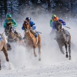 佐賀競馬 2024-10-19 17:16 第5レース データ分析予想. 日本競馬！データ分析で勝利へ！