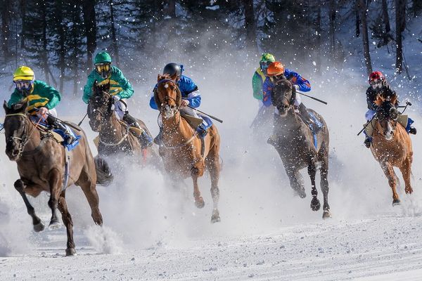 中山競馬 2024-09-14 13:06 第7レース データ分析予想. 日本競馬！予想！データに基づいた的中率の高い戦略を公開！