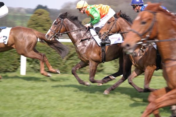 盛岡競馬 2024-08-11 16:36 第9レース データ分析予想. 日本競馬！データ分析で予想！勝ち馬への道筋を明らかに！