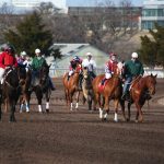 高知競馬 2024-10-19 20:31 第12レース データ分析予想. 日本競馬！勝つための秘策！