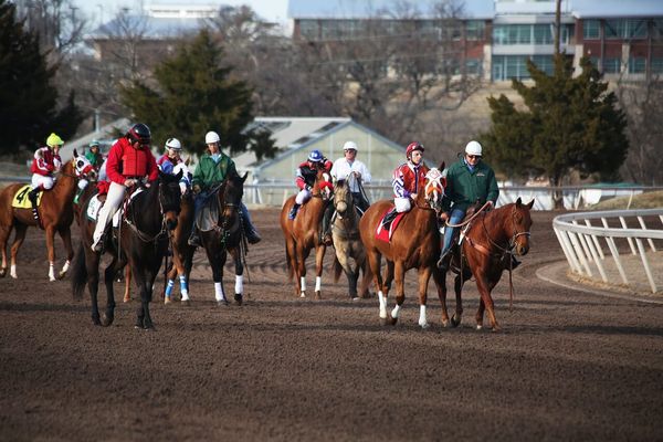 香港賽馬會2024-06-15日沙田, 第1场 預測 & Prediction|HKJC|2024-06-15|ST|1|16:00|end