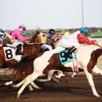 門別競馬 2024-08-27 17:21 第7レース データ分析予想. 日本競馬！データ分析で予想！あなたも的中馬券ゲット！