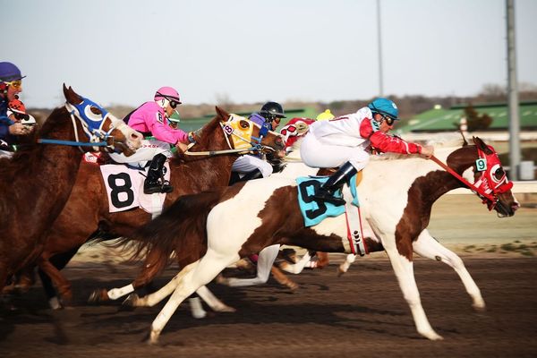 園田競馬 2024-08-09 20:11 第12レース データ分析予想. 日本競馬！データ分析で勝利へ！