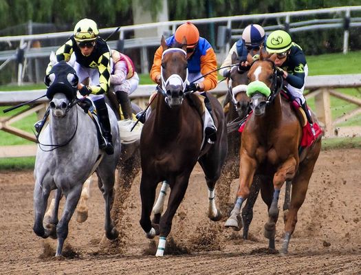 香港賽馬會2024-06-23日沙田, 第4场 預測 & Prediction|HKJC|2024-06-23|ST|4|17:30