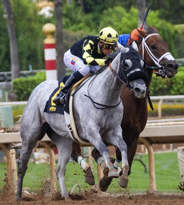 盛岡競馬 2024-08-04日 第7レース データ分析予想. 日本競馬！データ分析で予想！勝ち馬への道筋を明らかに！