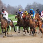 盛岡競馬 2024-10-22 15:16 第7レース データ分析予想. 日本競馬！データ分析で勝利へ！