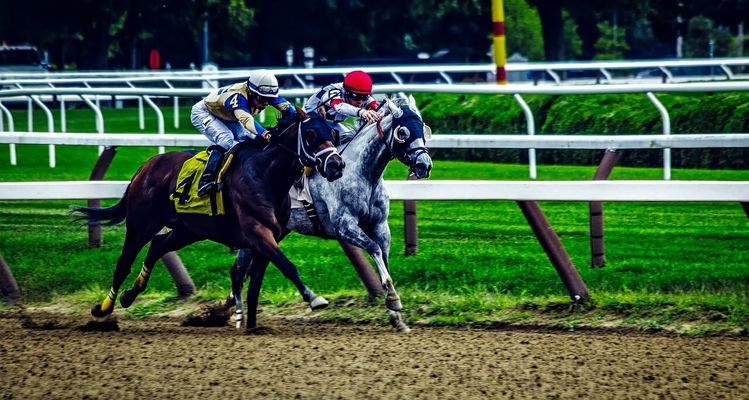 高知競馬 2024-09-15 15:41 第2レース データ分析予想. 日本競馬！データ分析で予想！勝ち馬への道筋を明らかに！